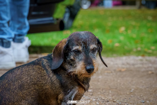 Graeflich_am_Grund__2024_511 Graeflich_am_Grund__2024_511