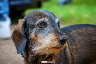 Graeflich_am_Grund__2024_512 Graeflich_am_Grund__2024_512