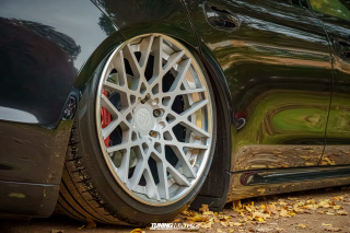 Graeflich_am_Grund__2024_558 Graeflich_am_Grund__2024_558