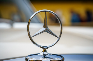 Graeflich_am_Grund__2024_576 Graeflich_am_Grund__2024_576