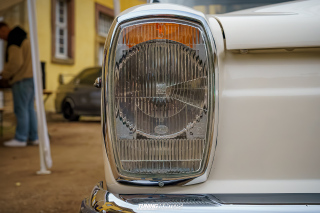 Graeflich_am_Grund__2024_577