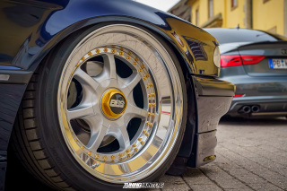 Graeflich_am_Grund__2024_656