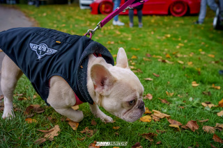 Graeflich_am_Grund__2024_781 Graeflich_am_Grund__2024_781