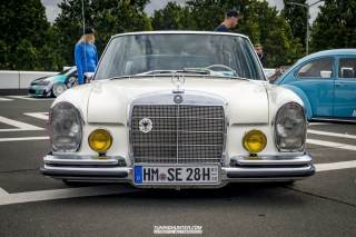 IMGP8731