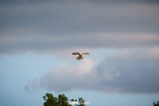 JustDeep-Jetlag_Seasonend_2024__613