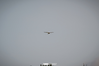 JustDeep-Jetlag_Seasonend_2024__614