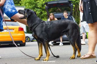 JustDeep_Bilster_Berg_2023-372