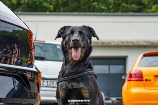 JustDeep_Bilster_Berg_2023-375