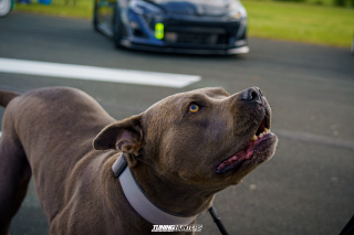 JustDeep_Jetlag_V3_2025_203