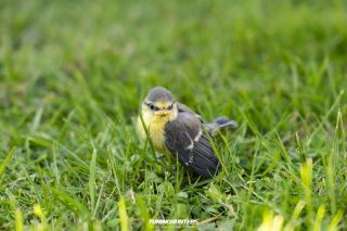 JustDeep_Tief_im_Hof_Reloaded_2023-0786