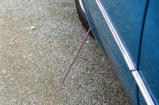 Legenden_in_Lippe_2012-076