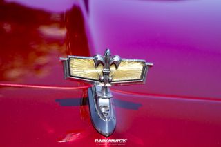 Legenden_in_Lippe_2019-109