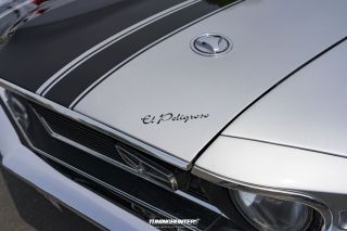 Legenden_in_Lippe_2023-590