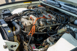 Legenden_in_Lippe_Event_2023_294