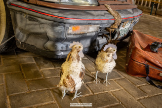 Low_Christmas_2019_004