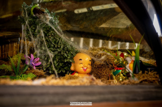 Low_Christmas_2019_007