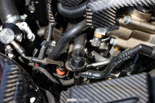 Tief_an_der_Muehle_2023_091