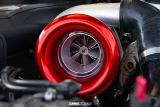 Tief_an_der_Muehle_2023_347