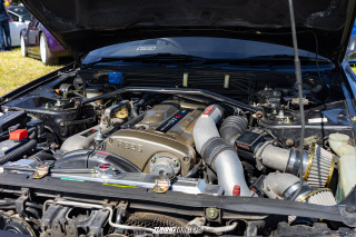 Tief_an_der_Muehle_2023_549