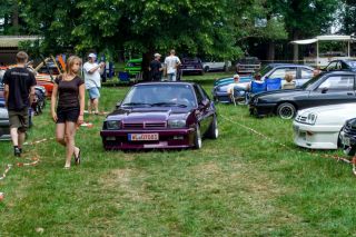 Mantatreffen_Badbergen_2018-049