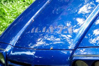 Mantatreffen_Badbergen_2012-023