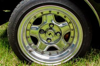 Mantatreffen_Badbergen_2012-049