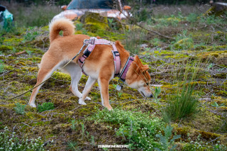 MP_One_2024_675