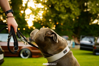 NIZE_4-EVENT-JustDifferent_763