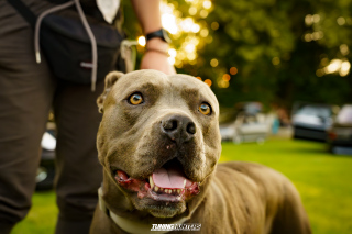 NIZE_4-EVENT-JustDifferent_764