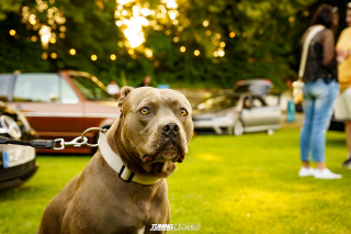 NIZE_4-EVENT-JustDifferent_765