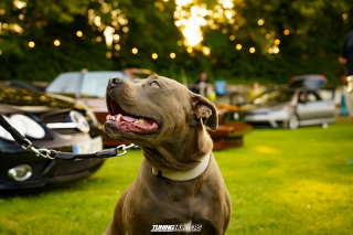 NIZE_4-EVENT-JustDifferent_766