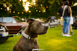 NIZE_4-EVENT-JustDifferent_767