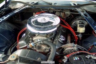 YAKUMO   DIGITAL CAMERA