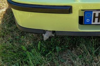 Opelfest_Frotheim_2010-043