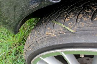 Opeltreffen_Bohnhorst_2013-049