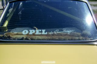 Opeltreffen_Schieder-Schwalenberg_2006-251