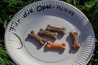 Opeltreffen_Vechta_2006-192