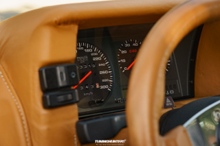 12_Alles_Polo_2023_065