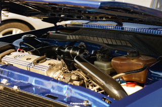 12_Alles_Polo_2023_117