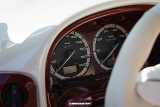 12_Alles_Polo_2023_289