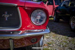 Schwingen_und_Schlappen_2019-155