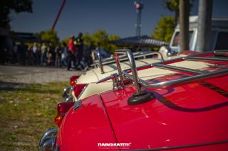 Schwingen_und_Schlappen_2019-267