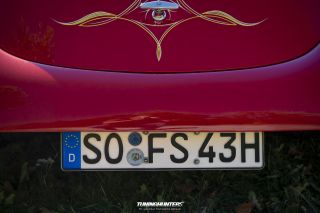 Schwingen_und_Schlappen_2019-301
