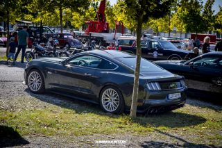 Schwingen_und_Schlappen_2019-371