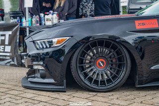 IMGP4284-1