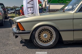 IMGP3446-1