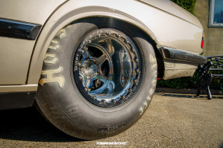 Spotlight_2_0_im_Movie_Park_2024_114