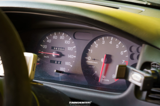 Spotlight_2_0_im_Movie_Park_2024_158