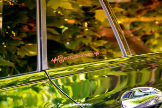 Spotlight_2_0_im_Movie_Park_2024_179