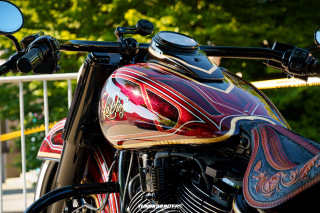 Spotlight_2_0_im_Movie_Park_2024_188